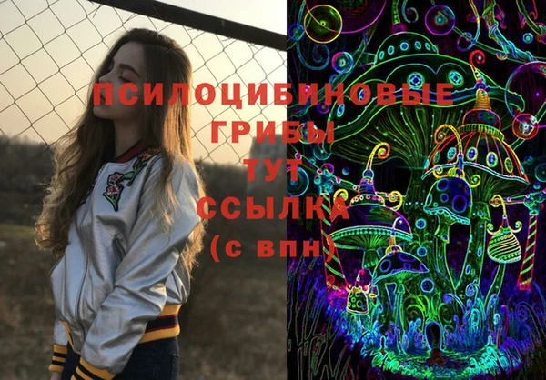 твердый Алексеевка