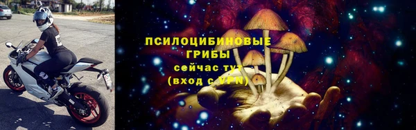 твердый Алексеевка