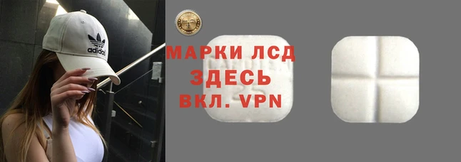 СК Алексин