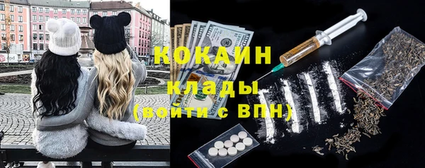 твердый Алексеевка