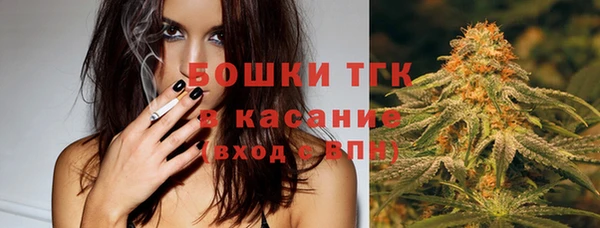 твердый Алексеевка