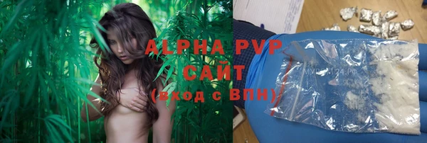 твердый Алексеевка